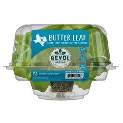 Fresh Live Butter Lettuce
