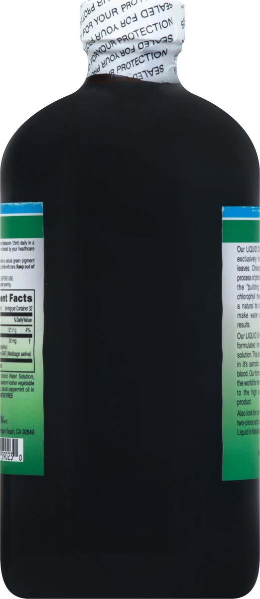 slide 11 of 12, World Organic Natural Mint Flavor Liquid Chlorophyll 16 oz, 16 fl oz