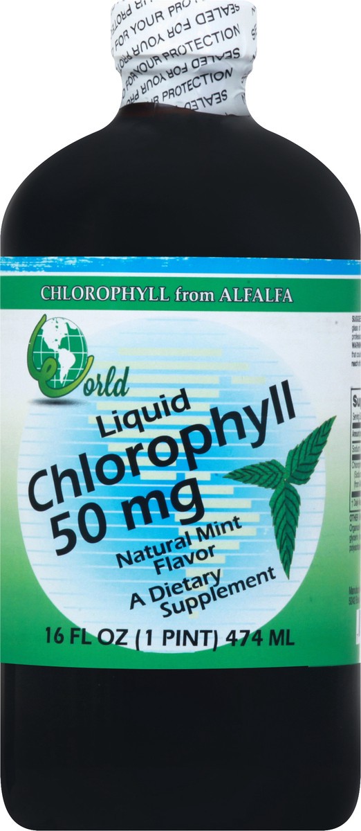 slide 2 of 12, World Organic Natural Mint Flavor Liquid Chlorophyll 16 oz, 16 fl oz