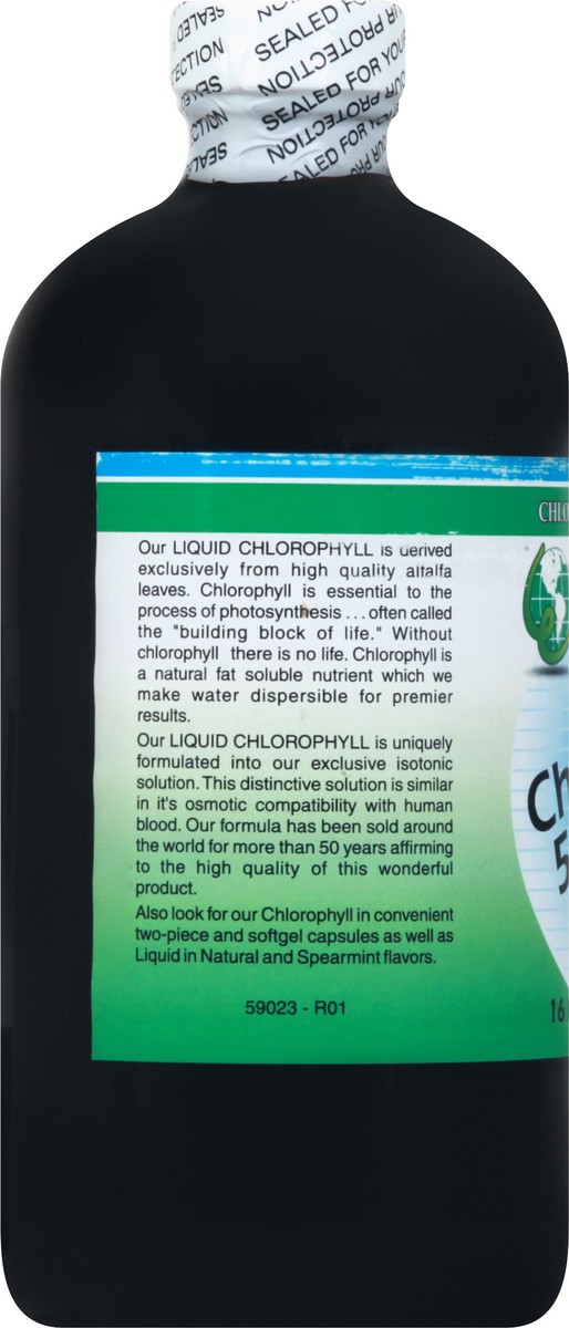 slide 8 of 12, World Organic Natural Mint Flavor Liquid Chlorophyll 16 oz, 16 fl oz