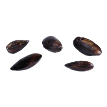 slide 1 of 1, Gordon Choice Mussel Chilean Ckd 1# Gchc, 16 oz