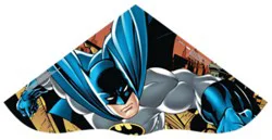 Skydelta Licensed Poly Kite 42 Inch - Each