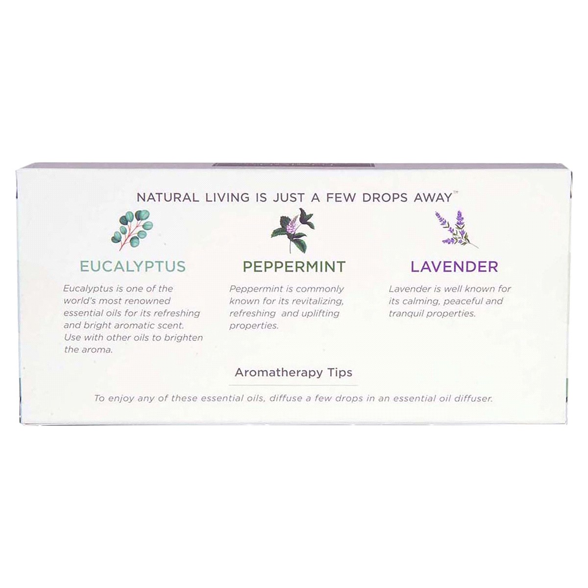 slide 2 of 2, SCENTSATIONALS FUSION ESSENTIAL OIL SET 3PK ESSENTIAL's BEST, 3 ct