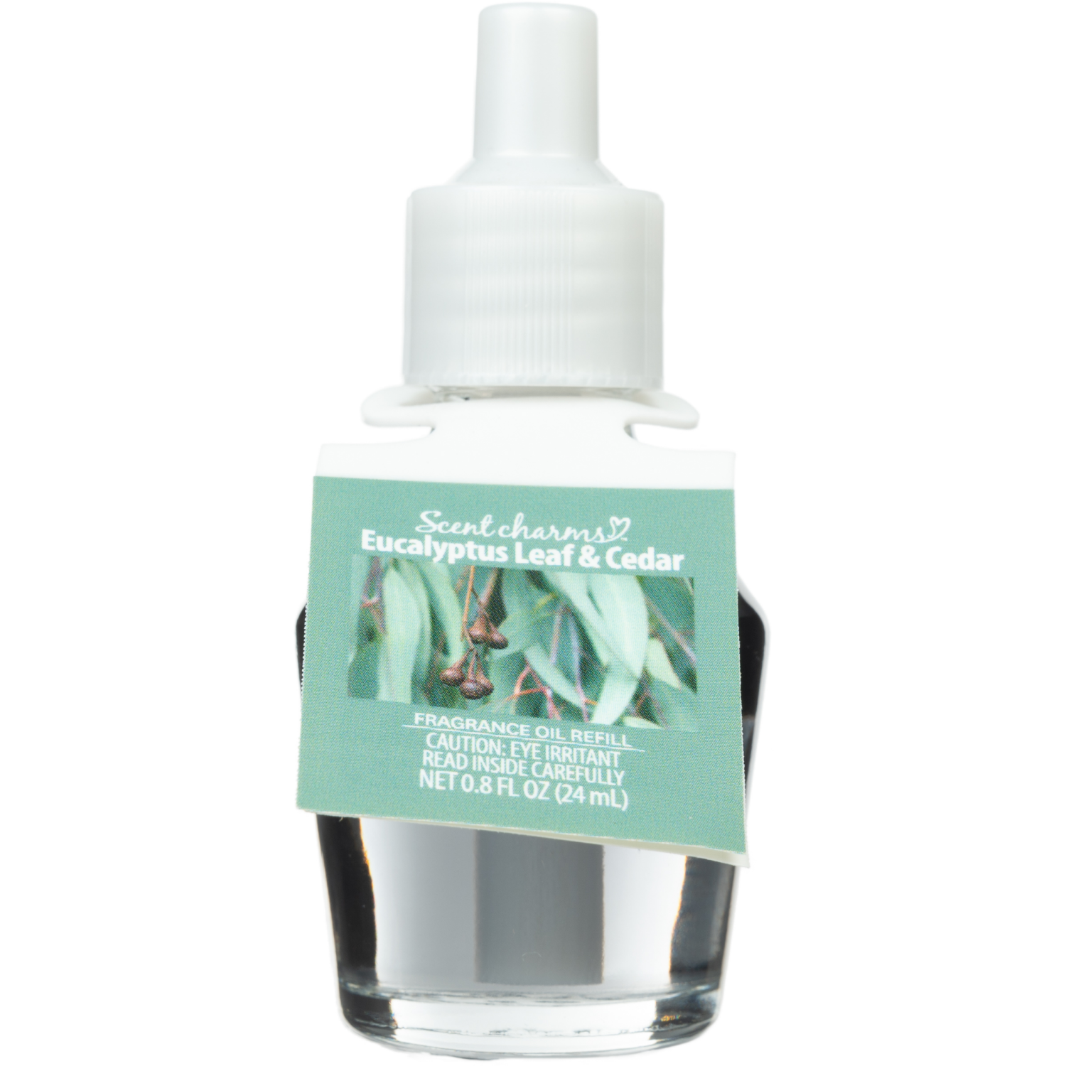 slide 2 of 3, SCENTSATIONALS Eucalyptus Leaf & Cedar Fragrance Oil, 1 ct