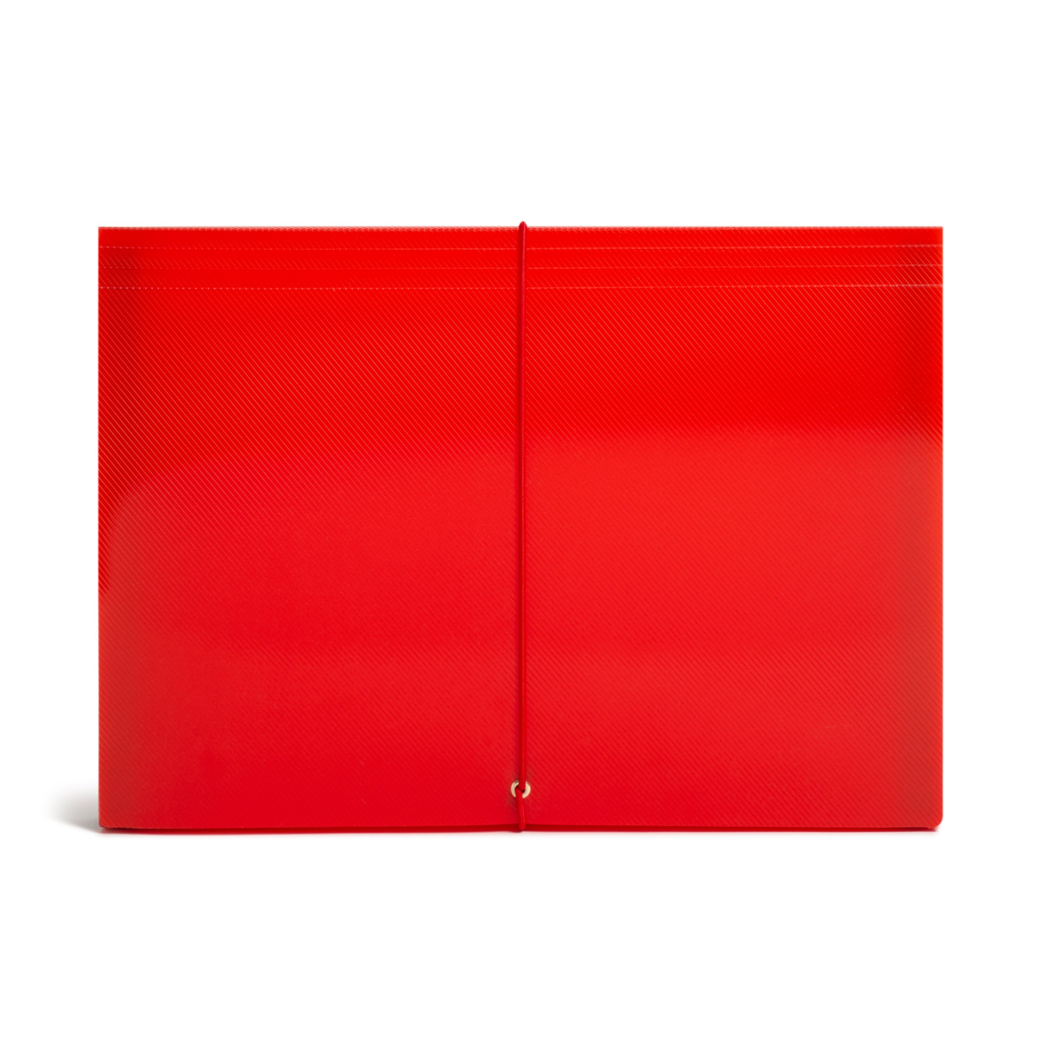 slide 4 of 4, SMEAD 13 Pocket Poly, Letter Size, Assortment, Light Blue/Red, 1 ct