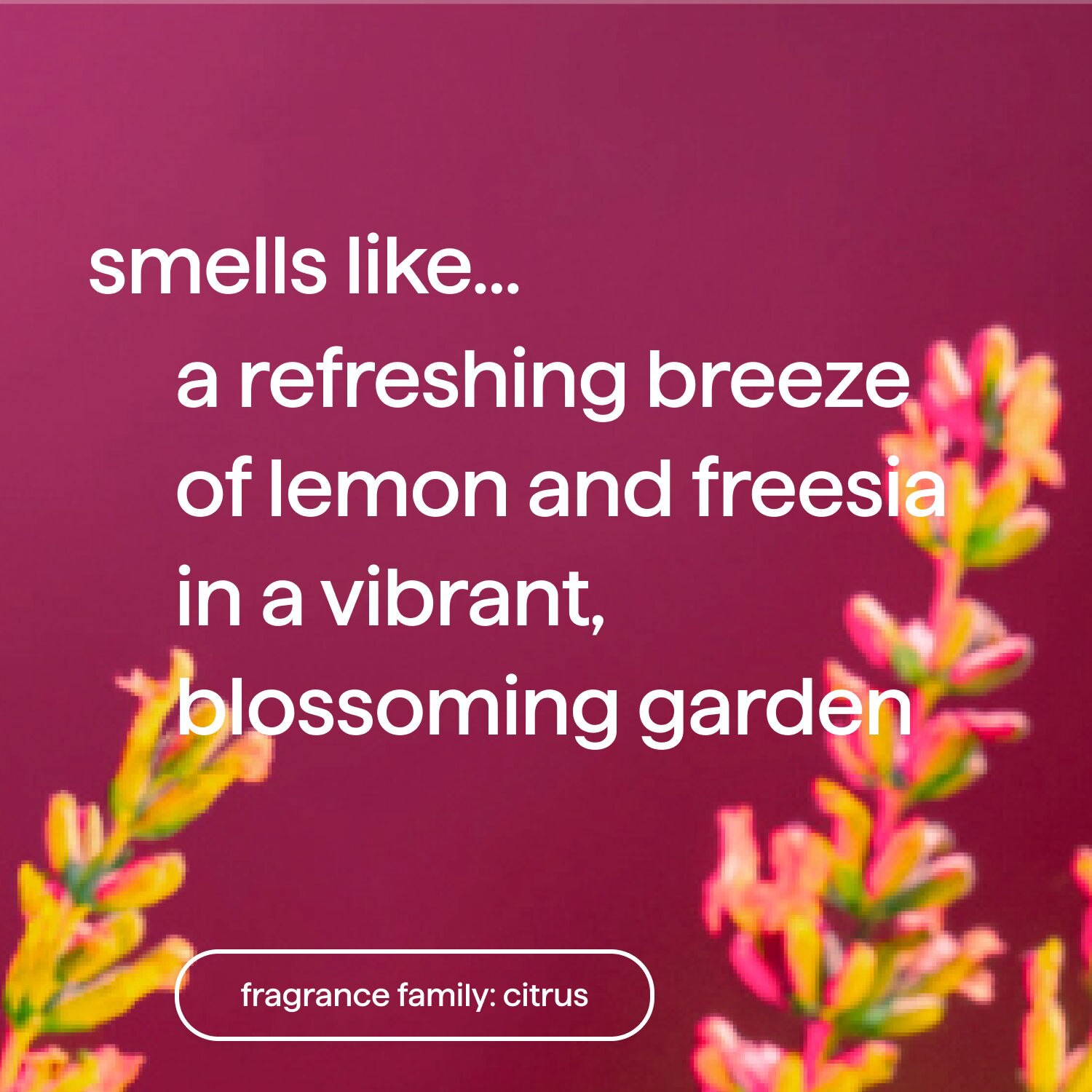 slide 4 of 5, method Foaming Lemon + Freesia Hand Wash 10 fl oz, 10 oz