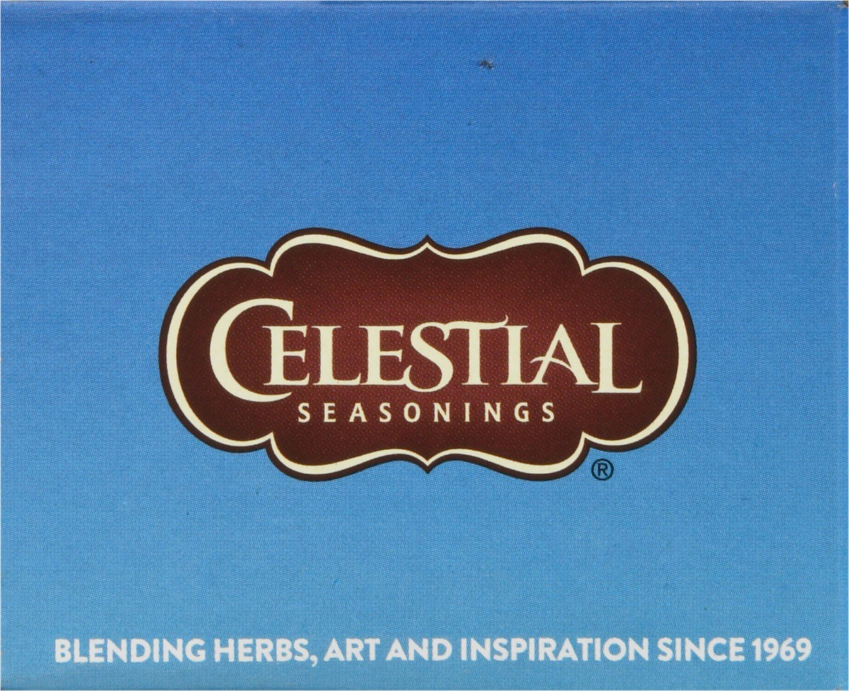 slide 9 of 9, Celestial Seasonings Cold Brew Sweetened Tea with Lemon Iced Tea Bags - 18 ct, 18 ct