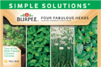 slide 1 of 1, Burpee Simple Solutions Four Fabulous Herb Seeds, 1 ct