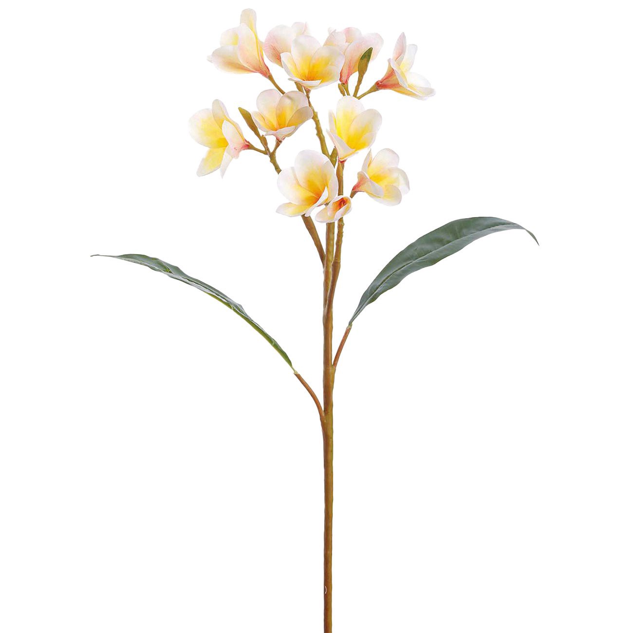 slide 1 of 1, Allstate Floral Cream Plumeria Faux Botanical Spray, 28 in