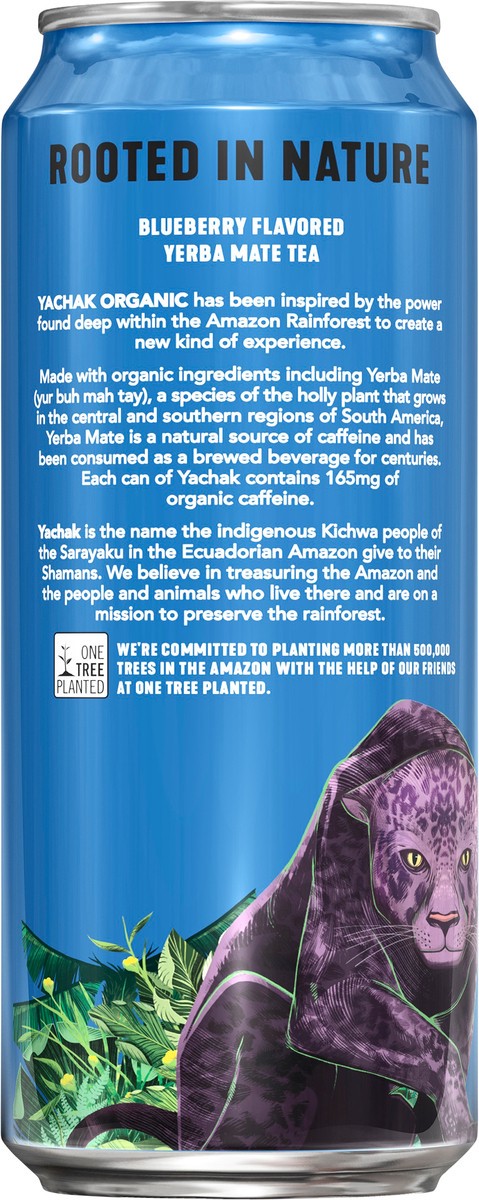 slide 2 of 4, Yachak Organic Yerba Mate Energy Drink Plant Based Energy Tea Berry Blue Blueberry 16 Fl Oz Can, 16 oz