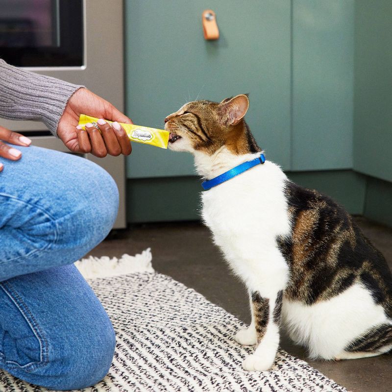 slide 7 of 13, Temptations Creamy Purrrr-ee Chicken, Salmon and Tuna Lickable Squeezable Cat Treats Variety Pack - 24ct/10.1oz, 24 ct, 10.1 oz