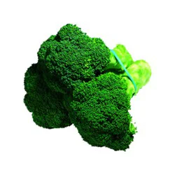 Broccoli - 20 Lb
