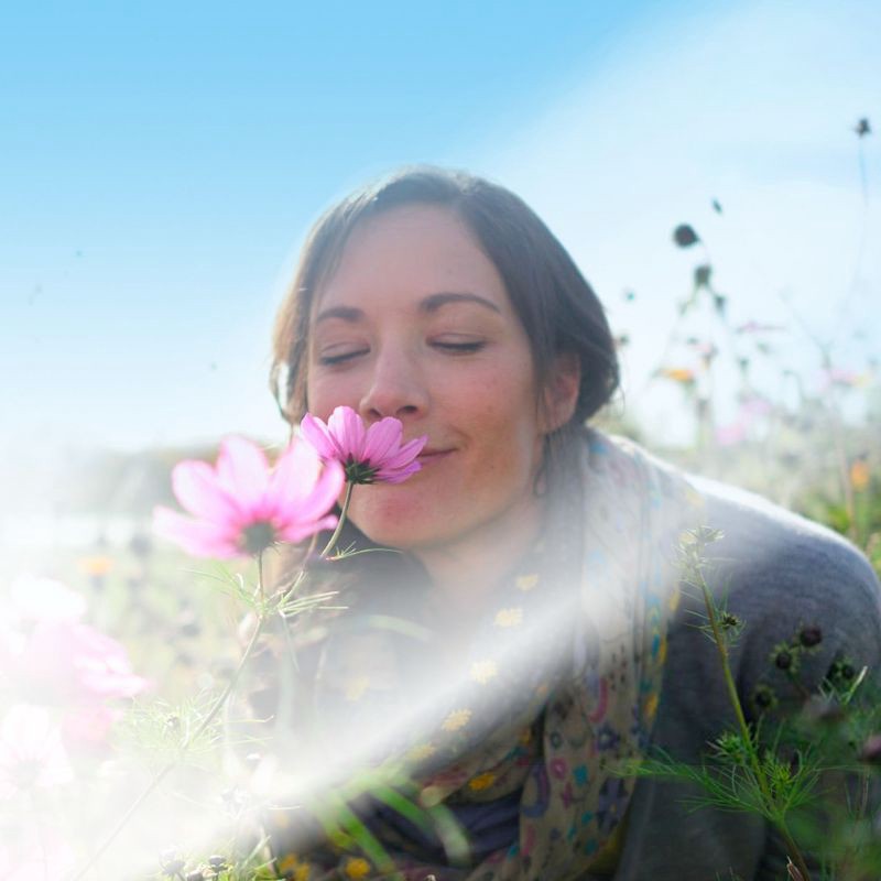 slide 5 of 6, Air Wick Scented Oil Refill Lush - Honeysuckle and Raspberry - 3.38 fl oz/5pk, 3.38 fl oz, 5 ct