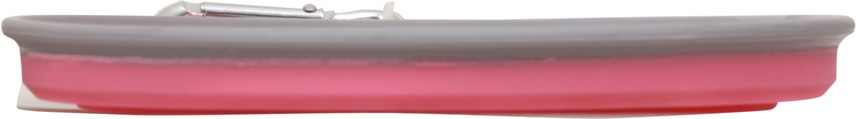 slide 2 of 8, Ruffin' It Collapsible Small Pet Travel Bowl, 1 ct