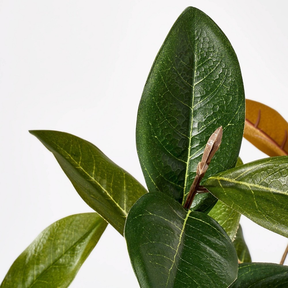 slide 3 of 4, Threshold designed w/Studio McGee Large Magnolia Leaf Potted - Threshold designed with Studio McGee, 1 ct