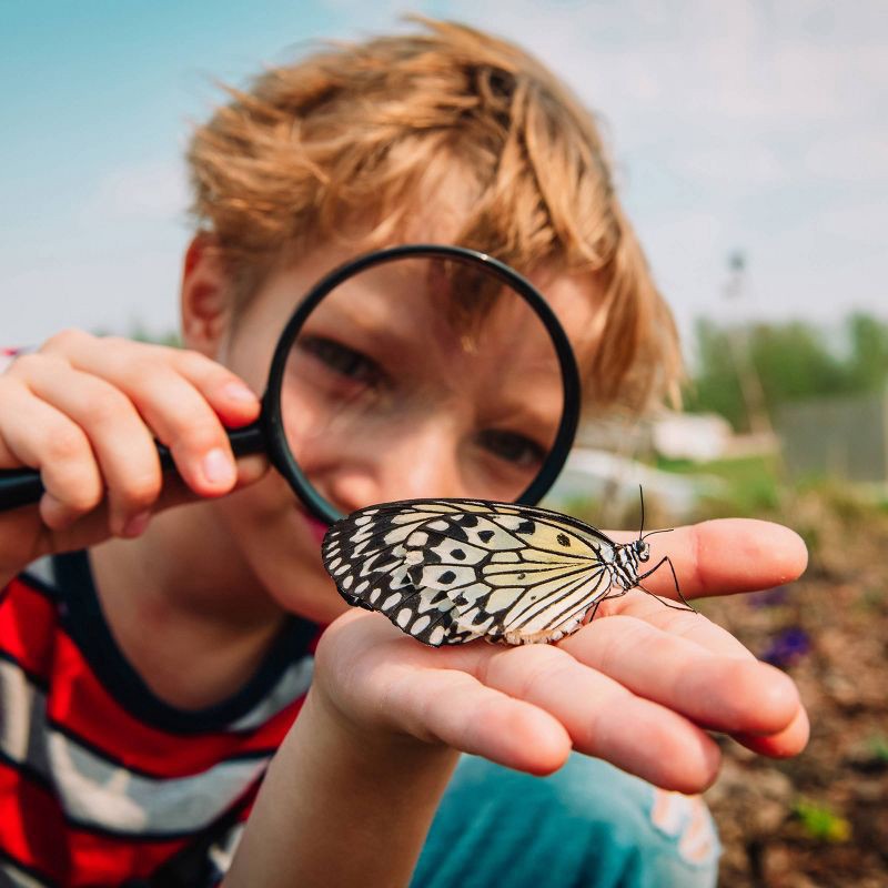 slide 5 of 6, Ibuprofen Children's Chewables (NSAID) - 48ct - up&up™, 48 ct