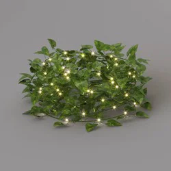 LED Vine String Lights Warm White - Room Essentials™: USB & Battery Powered, Indoor Decor, 20 LEDs