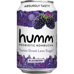 Humm Kombucha Humm Blackberry Probiotic Kombucha - 12 fl oz