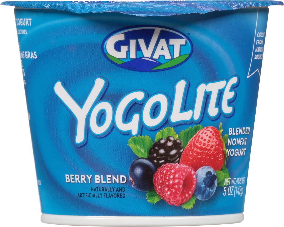 slide 5 of 14, Givat YogoLite Berry Blend Blended Nonfat Yogurt 5 oz, 5 oz