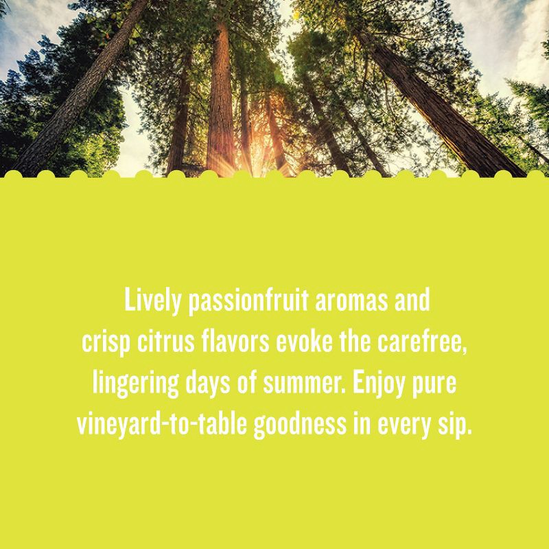 slide 2 of 6, Sauvignon Blanc - 1.5L Bottle - California Roots™, 1.5 liter
