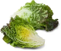 Lettuce Red Leaf Organic