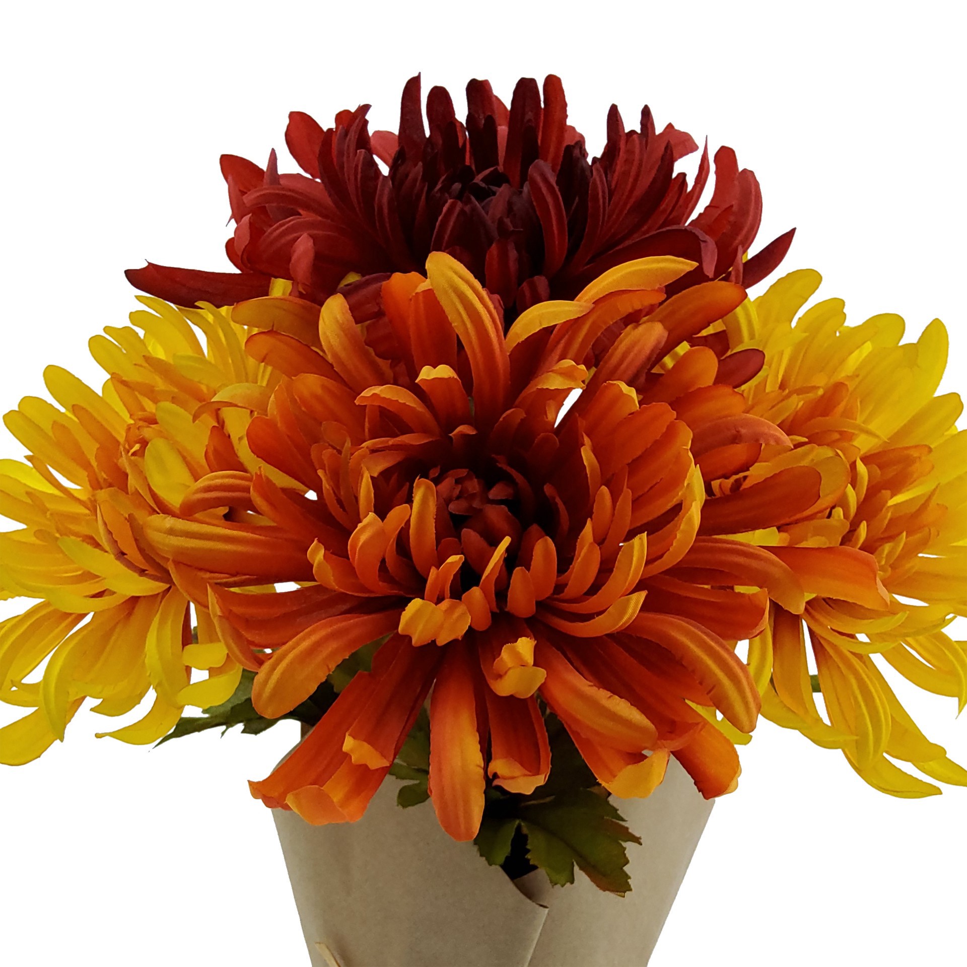 slide 3 of 3, 14" Potted Mum By Ashland, 12 in x 12 in x 14 in