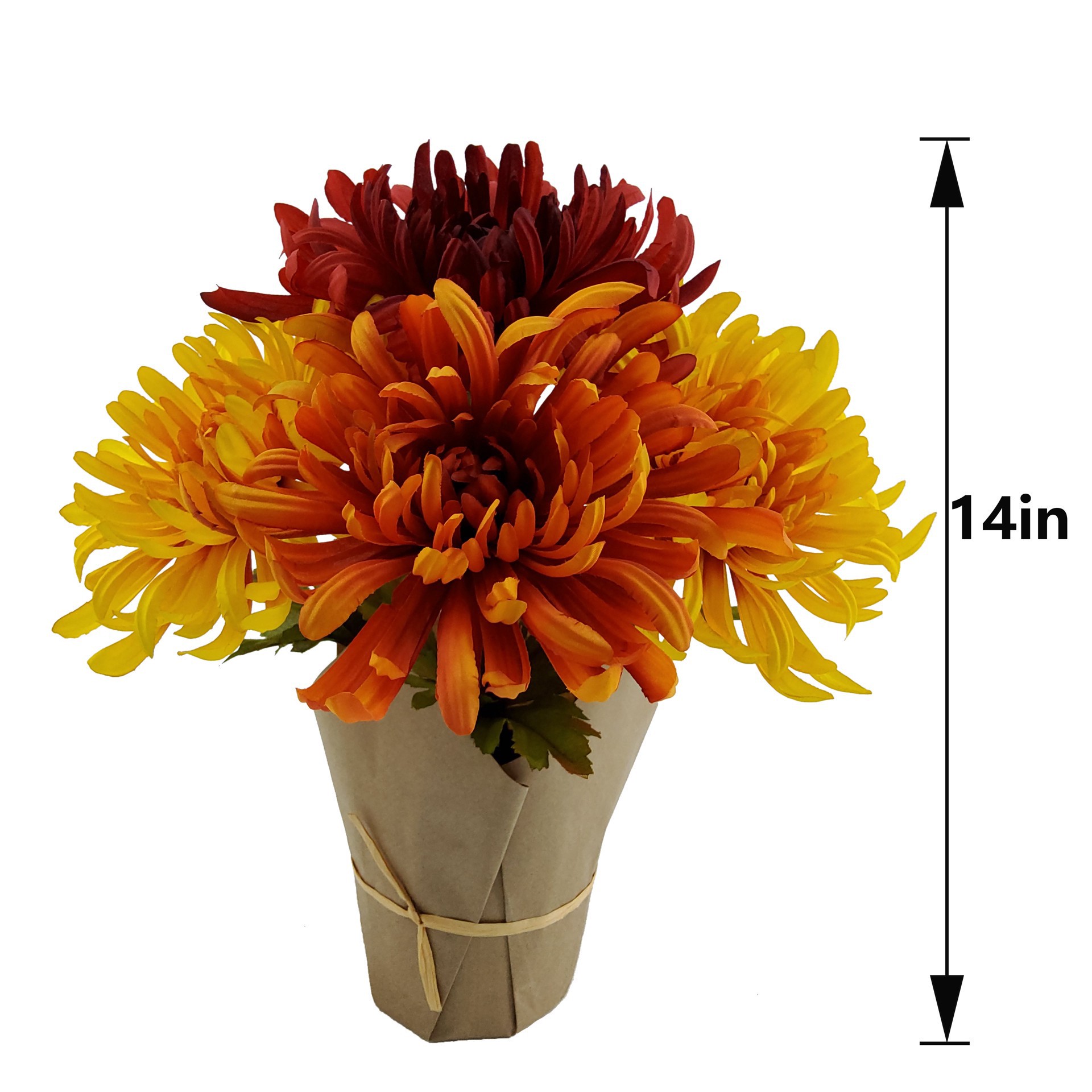 slide 2 of 3, 14" Potted Mum By Ashland, 12 in x 12 in x 14 in