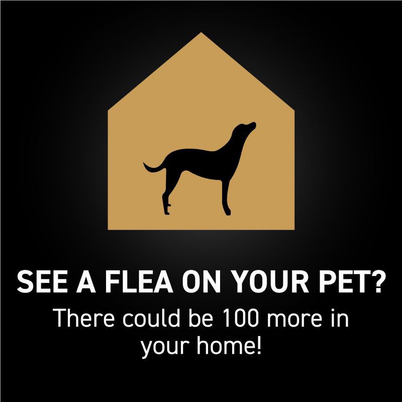 slide 7 of 11, NextStar Flea & Tick Topical Treatment for Medium Dogs - 23 to 44lbs - 3ct, 44 lb, 3 ct