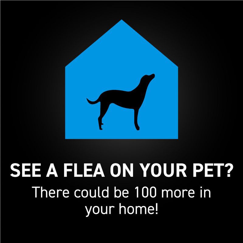 slide 7 of 9, NextStar Flea & Tick Topical Treatment for Small Dogs - 5 to 22lbs - 3ct, 22 lb, 3 ct