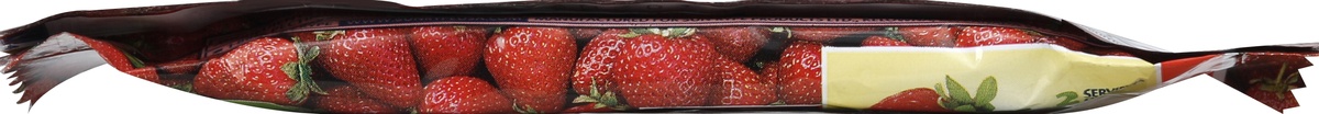 slide 5 of 5, SunRype FruitSource Strawberry Fruit Bar , 1.3 oz