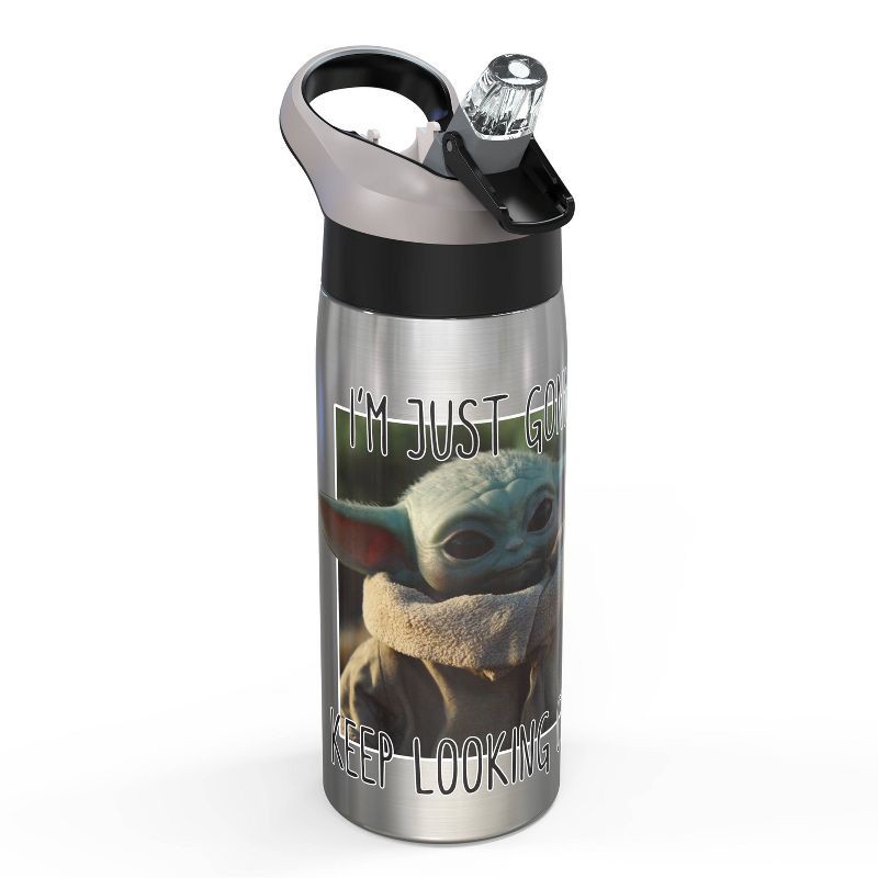 19oz Stainless Steel Double Wall Water Bottle - Zak Designs