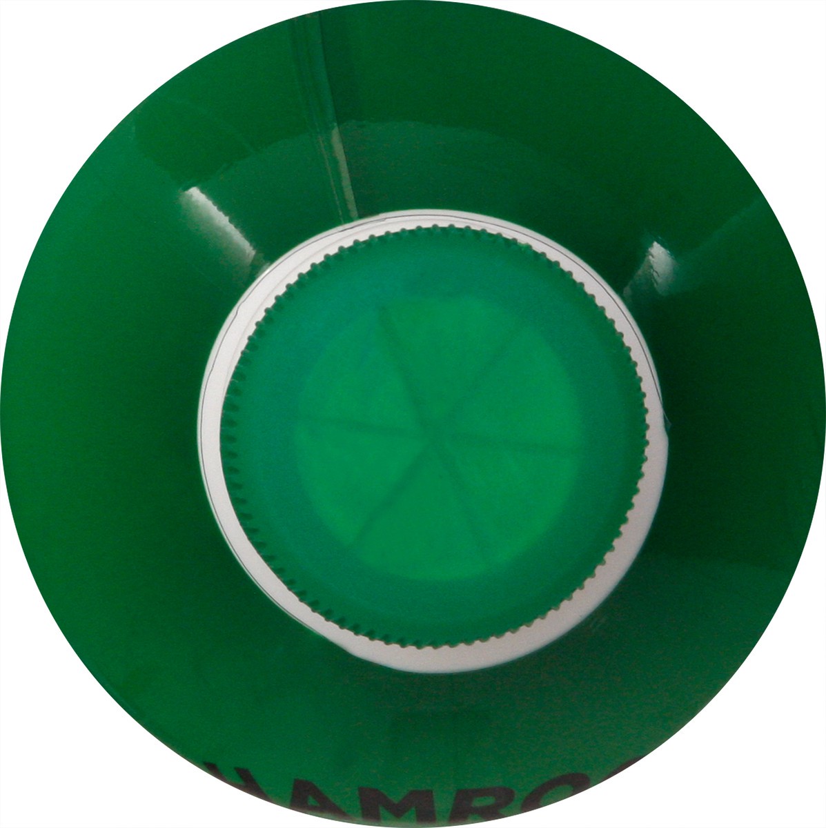 slide 6 of 12, Shamrock Farms Traditional Holiday Spice Eggnog 1 qt, 1 qt