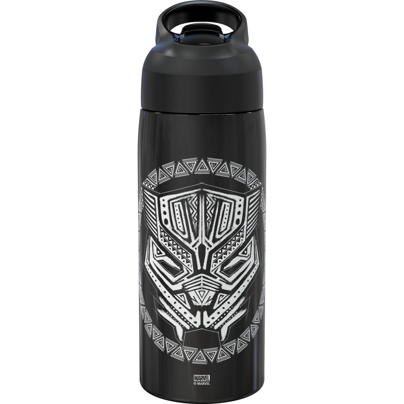 slide 1 of 1, Marvel Avengers Classic Black Panther 19oz Stainless Steel Double Wall Water Bottle - Zak Designs, 19 oz