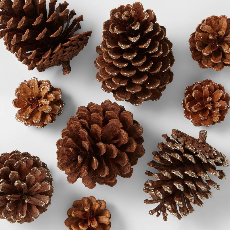 slide 3 of 3, 12ct Cinnamon Scented Pinecone Christmas Decorative Filler Natural/Glitter - Wondershop™, 12 ct