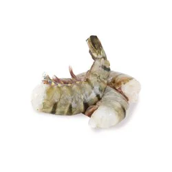 Master Catch Raw Shrimp, 13/15 Ez Peel