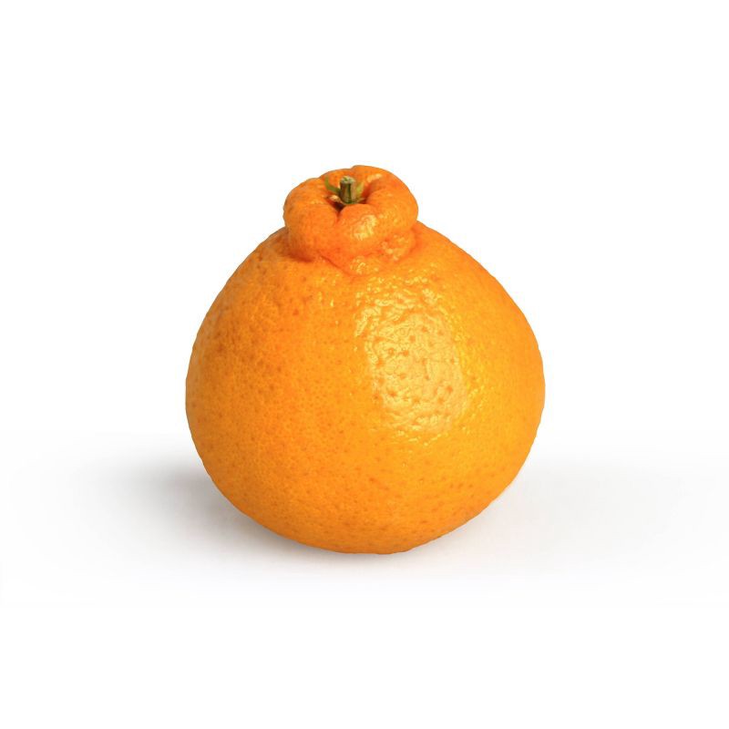 slide 2 of 4, Sumo Citrus Mandarin Oranges - 2lb Bag, 2 lb