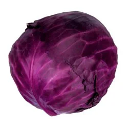 Red Cabbage