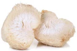Phillips Gourmet Lions Main