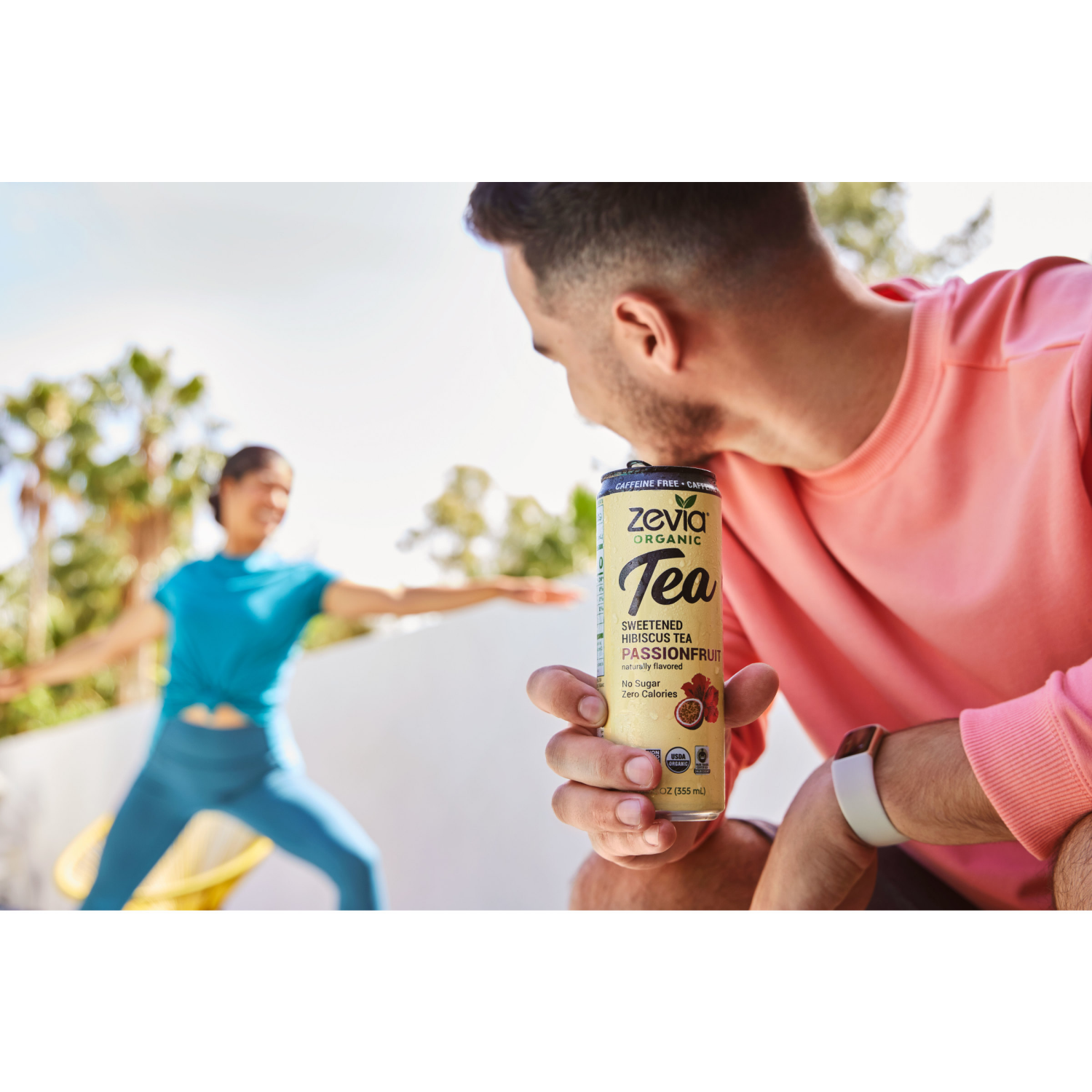 slide 3 of 4, Zevia Sweetened Passionfruit Hibiscus Tea - 12 fl oz, 12 fl oz