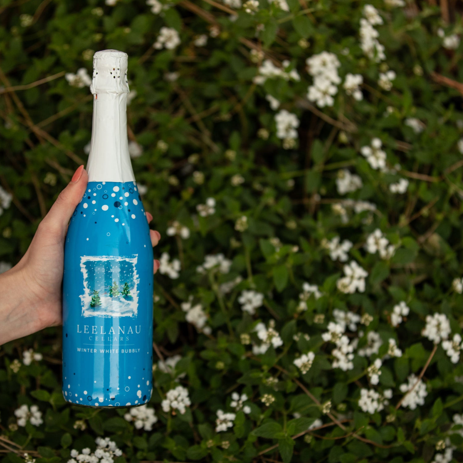 slide 3 of 6, Leelanau Cellars Winter White Bubbly, 750 ml