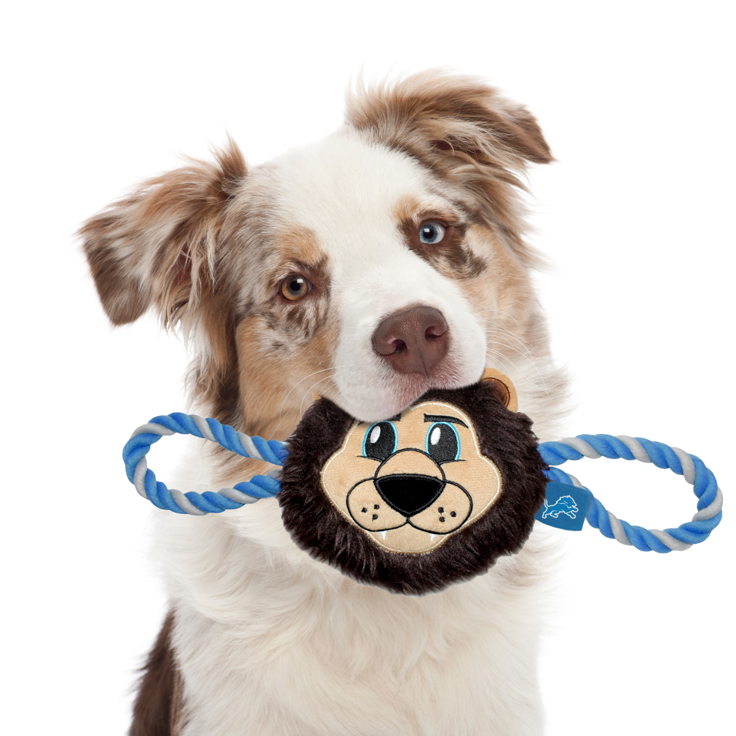 slide 2 of 2, Detroit Lions Mascot Rope Toy, 1 ct