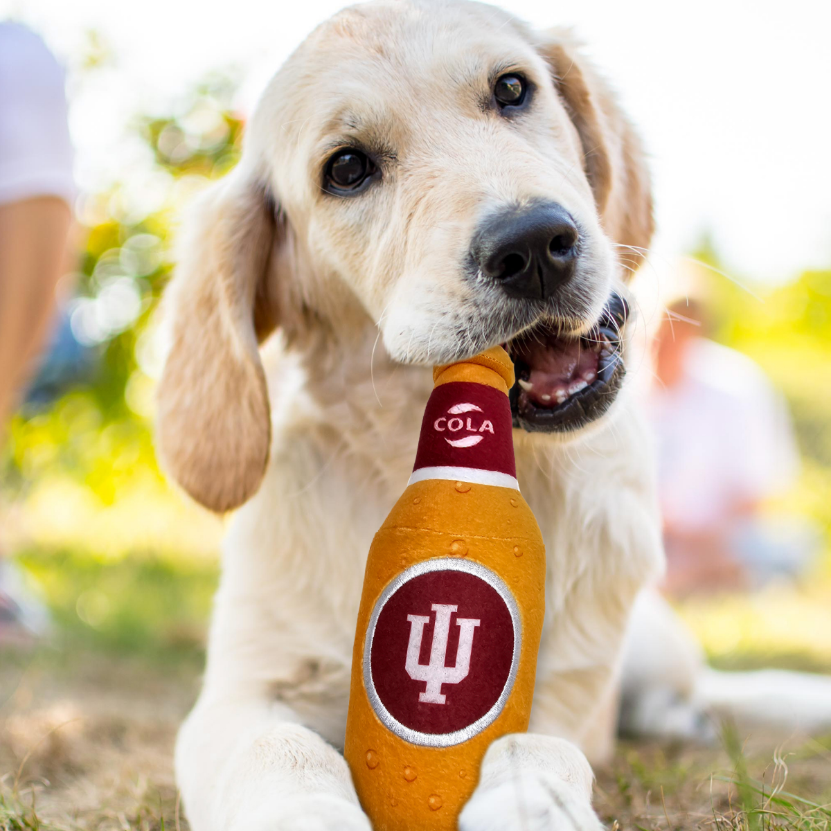 slide 2 of 2, Indiana Bottle Toy, 1 ct