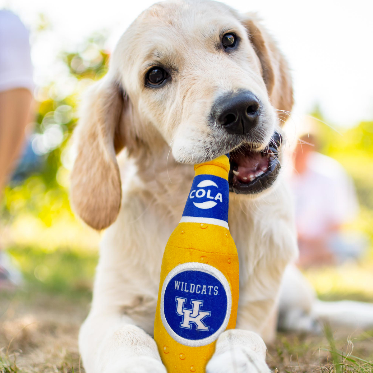 slide 2 of 2, Kentucky Bottle Toy, 1 ct