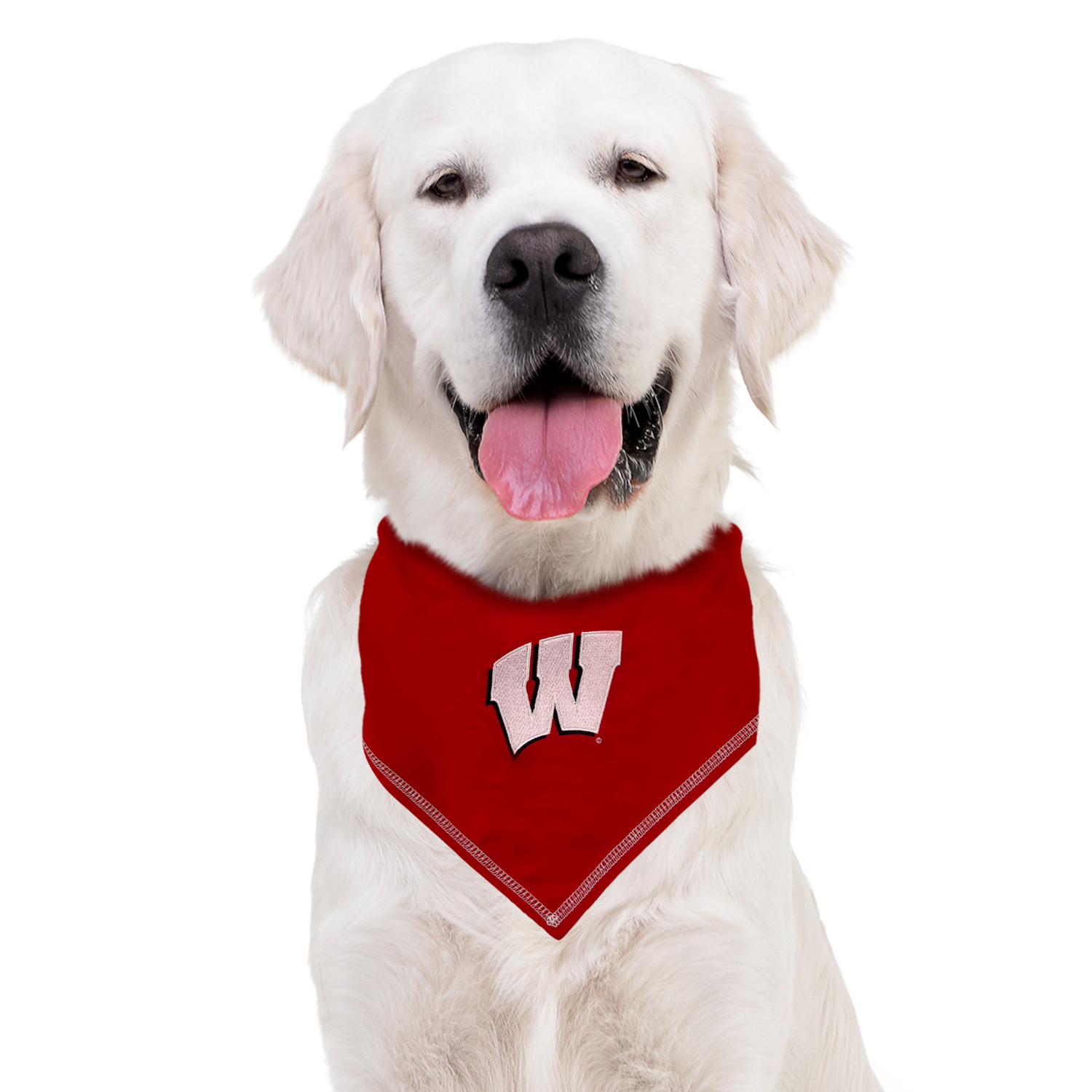 slide 2 of 2, Wisconsin Tie Around Bandana S/M, Sm-Med