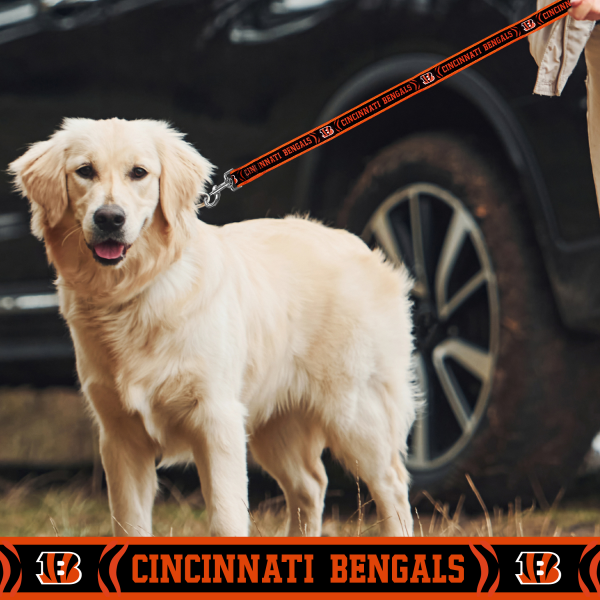 slide 2 of 2, Cincinnati Bengals Satin Collar Lg, LG