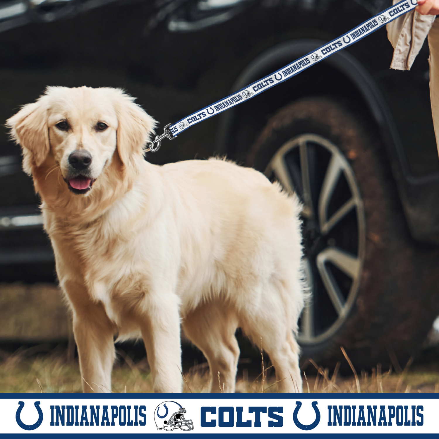 slide 2 of 2, Indianapolis Colts Satin Leash LG, LG