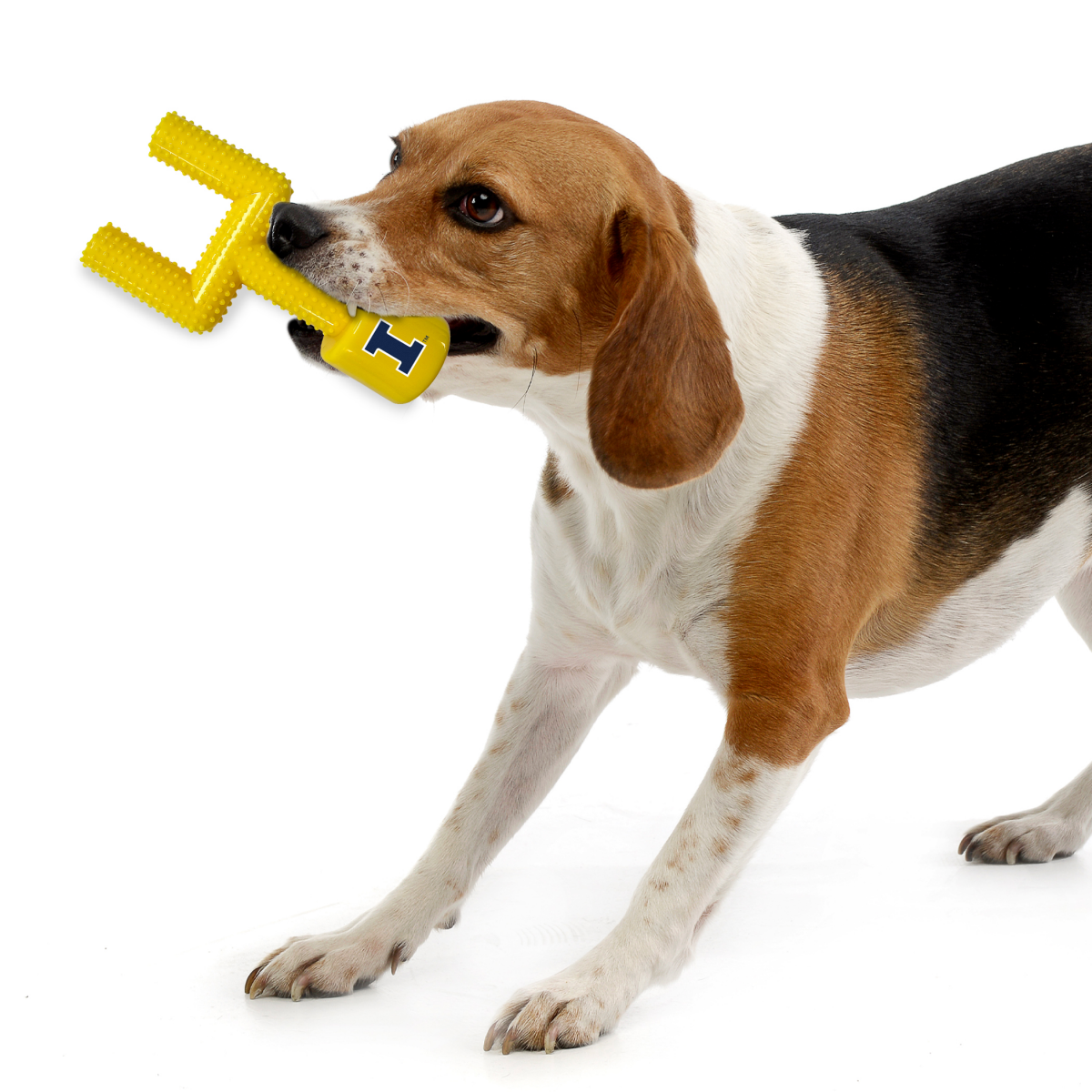 slide 2 of 2, Illinois Hard Nylon Goal Post Chew Toy, 1 ct