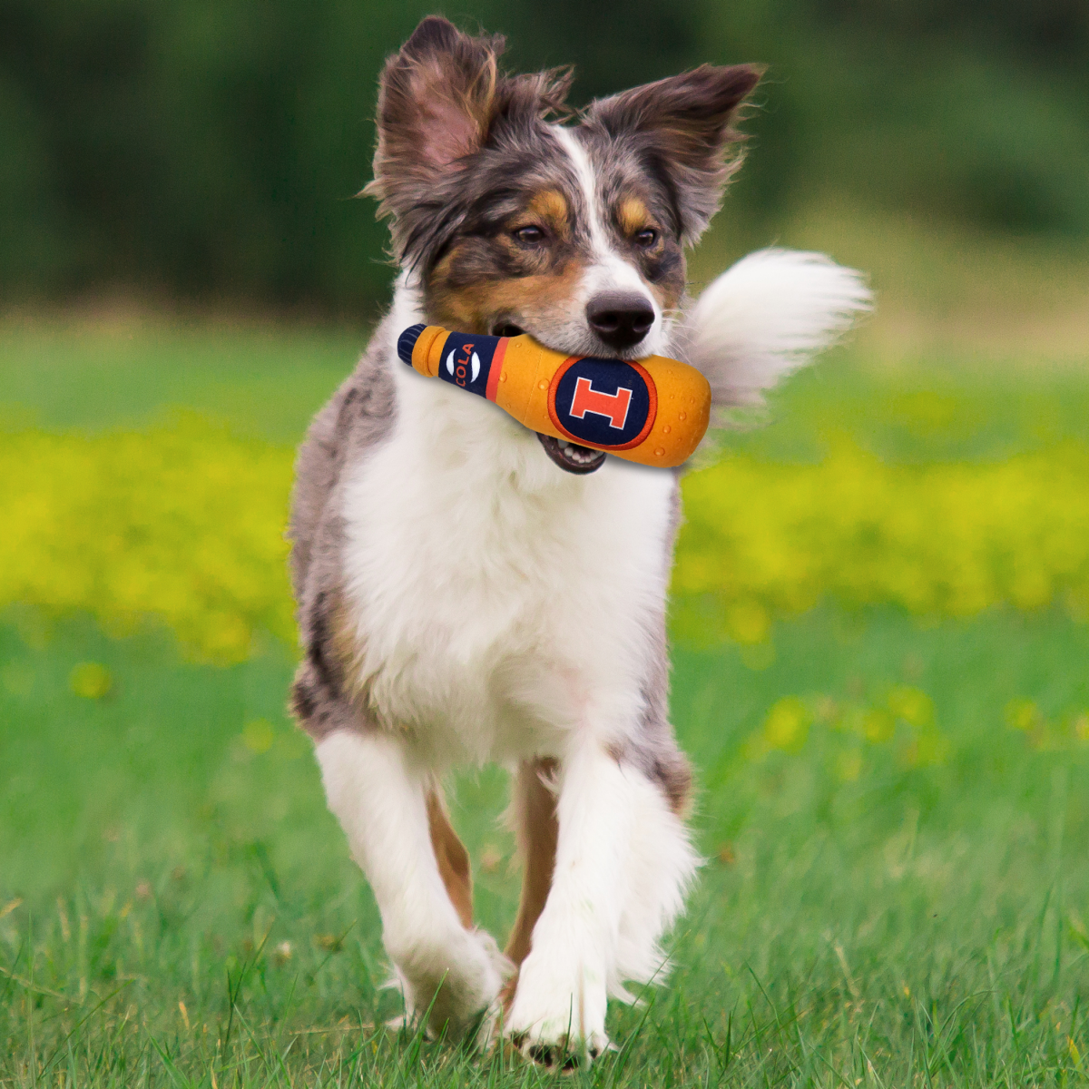 slide 2 of 2, Illinois Bottle Toy, 1 ct