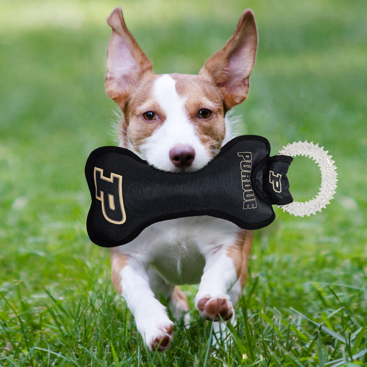 slide 2 of 2, Purdue Dental Ring Toy, 1 ct