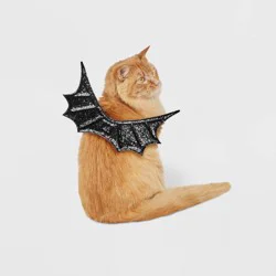 Glitter Wings Halloween Cat Costume Black - Boots & Barkley™